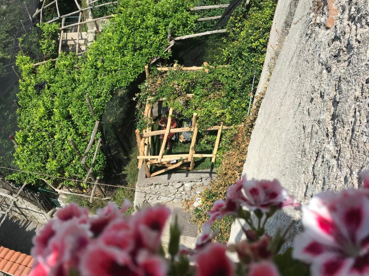 سكالا Palazzo Verone المظهر الخارجي الصورة